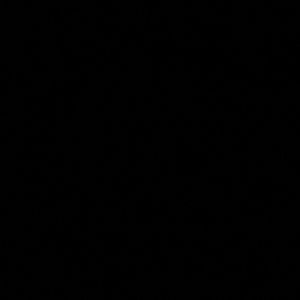 Meet your Posher, Zorah